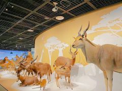 -陕西自然博物馆