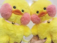 -PAWTOY爪e玩偶店(天兴罗斯福店)