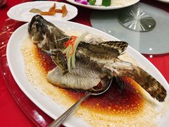 清蒸老虎斑-御彩酒家(东风东路店)