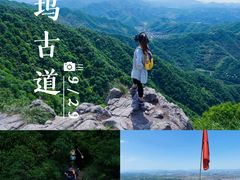-午潮山国家森林公园