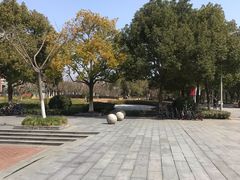 -华东政法大学(松江校区)