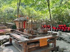 -天目湖山水园