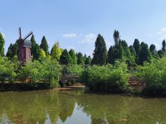 -捞渔河湿地公园