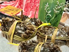 -一绪に和牛寿喜烧(罗湖益田假日店)