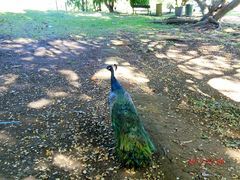 -卡塞拉自然公园