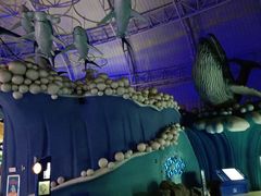 -烟台海昌鲸鲨海洋公园