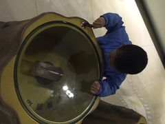 iphone_upload_pic-上海昆虫博物馆