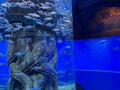 -哈尔滨波塞冬海底世界