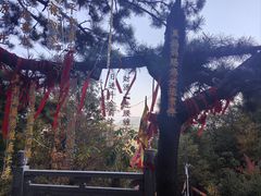 -九鼎铁刹山风景区