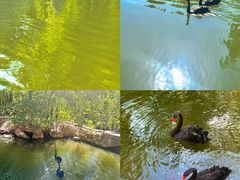 -石家庄市动物园