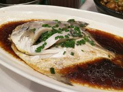 清蒸大鲳鱼-醉香园(长江北路店)