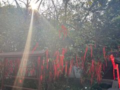 -春暖花开(西溪店)