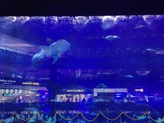 -成都浩海立方海洋公园