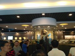 -下渚湖国家湿地公园科普馆