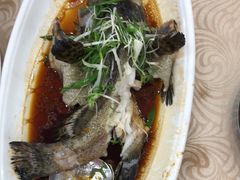 -湛江渔港·大排档(乐园路总店)
