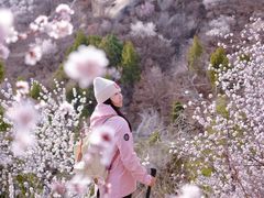 -白水寺森林公园