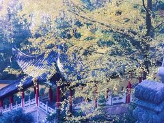 -九华山风景区
