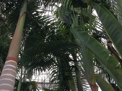 -石家庄市植物园