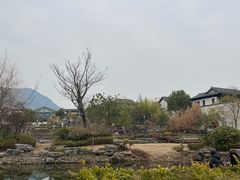 -春色如许·茶食餐厅(桃李春风店)