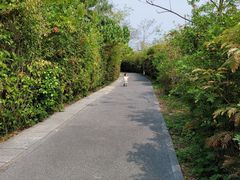 -华侨城湿地公园