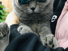 -吴山路夜市