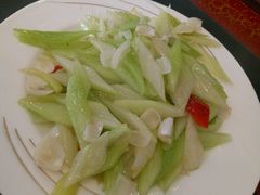 -丁老爷子苏香圆