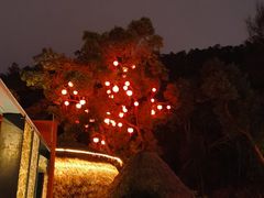 -天怡·鱼工厂(梅溪湖店)