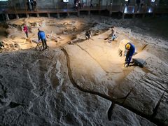 -自贡恐龙博物馆