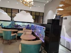 -可爱多国际儿童摄影会馆(龙泉店)