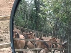 -秦皇岛野生动物园