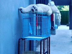 -柴油机1959创意园(IF1959文创园)