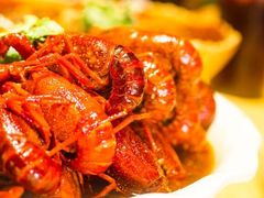 -杨氏青龙虾·羊蝎子(托乐嘉店)