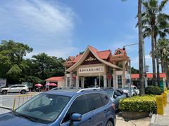 -大湾区中央湿地公园-十九涌
