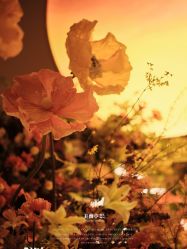 -美薇亭婚礼顾问