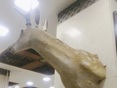 -乔家满族八大碗(中兴路店)