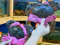 -东江海鲜大排档·潮汕菜·砂锅粥