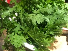 茼蒿菜-左庭右院鲜牛肉火锅(新梅广场店)