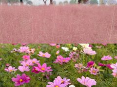 -汉长安城未央宫国家考古遗址公园