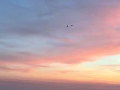 -滆湖低碳生态公园