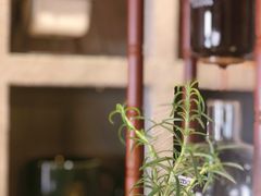 -ZING COFFEE 镜咖啡