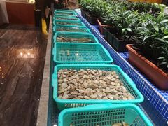 -丰卓会海鲜自助(中润大道店)