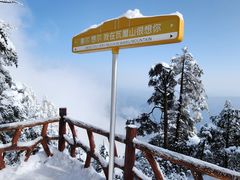 -瓦屋山景区