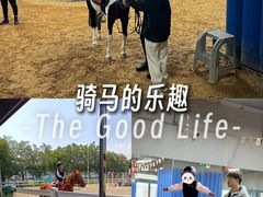 -骑乐马术(广州奥体优托邦中心)