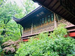 -十八棵（老龙井）御茶园(老龙井店)