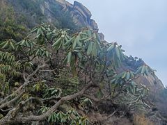 -洛阳白云山景区
