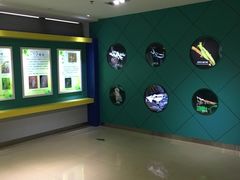 -上海昆虫博物馆