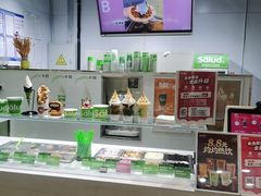 -Salud撒露欧洲冻酸奶(北苑上品店)
