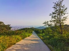 -鬼笑石后山停车场
