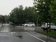 -首都医科大学附属北京地坛医院