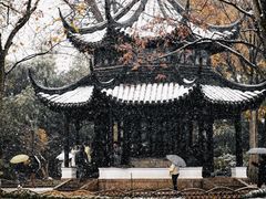 -鑫震源·苏式大虾生煎(山塘街店)